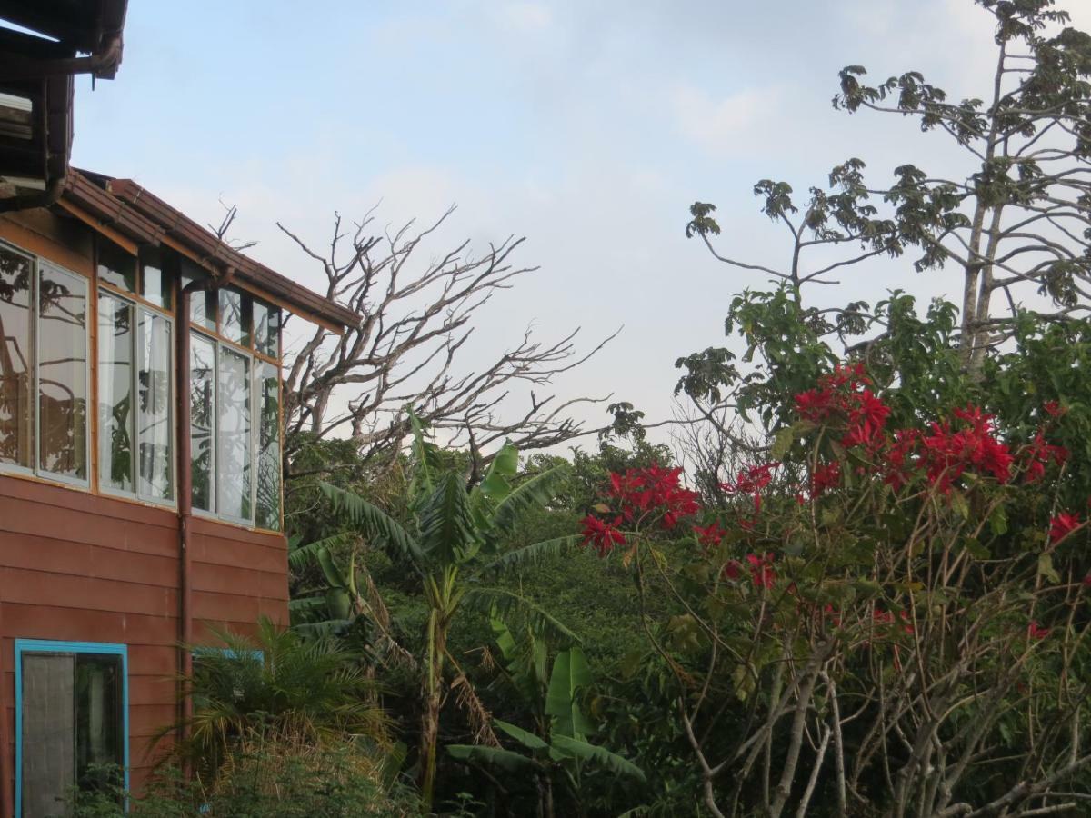 Apartamento Artesana Monteverde Exterior photo